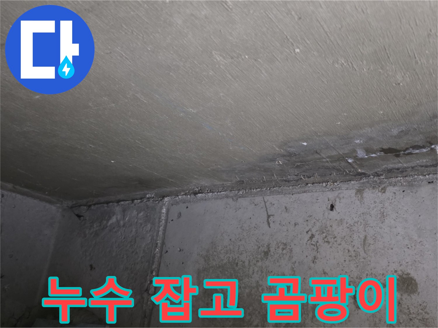 남양주 오남 두산아파트 베란다 곰팡이 - 누수 해결이 먼저