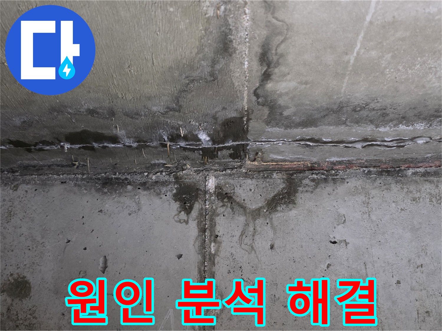 남양주 오남 두산아파트 벽 균열 누수 - 원인 분석부터 해결까지 책임