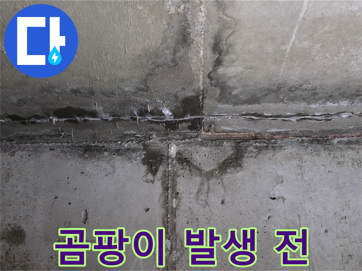 남양주 오남 두산아파트 천장 누수 - 곰팡이 발생 전 해결
