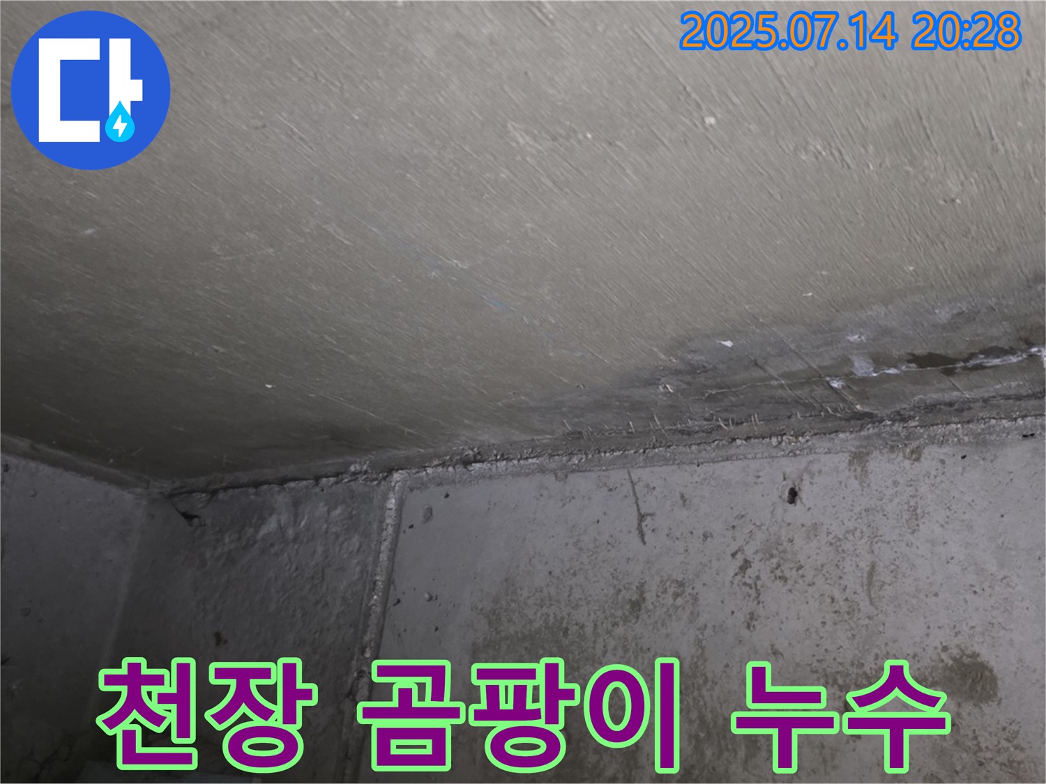 남양주 오남 두산아파트 천장 누수로 인한 곰팡이 확산 - 누수 문제 해결 과정