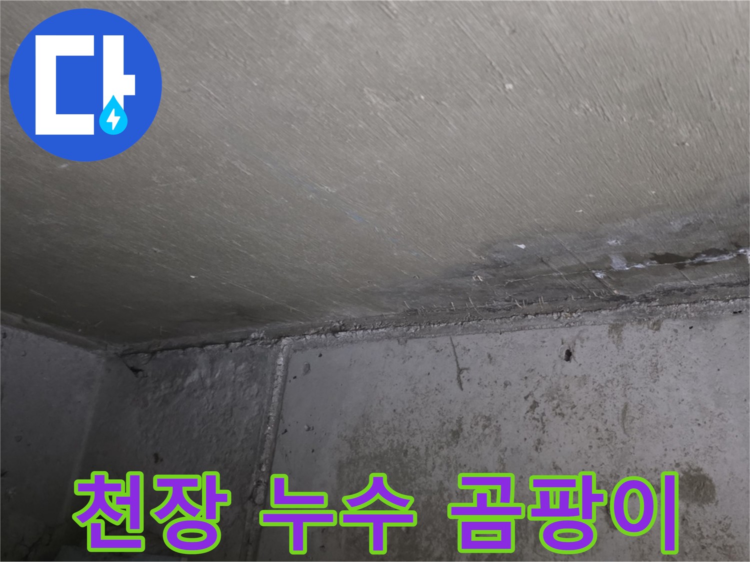 남양주 오남리 아파트 천장 곰팡이 - 심각한 누수
