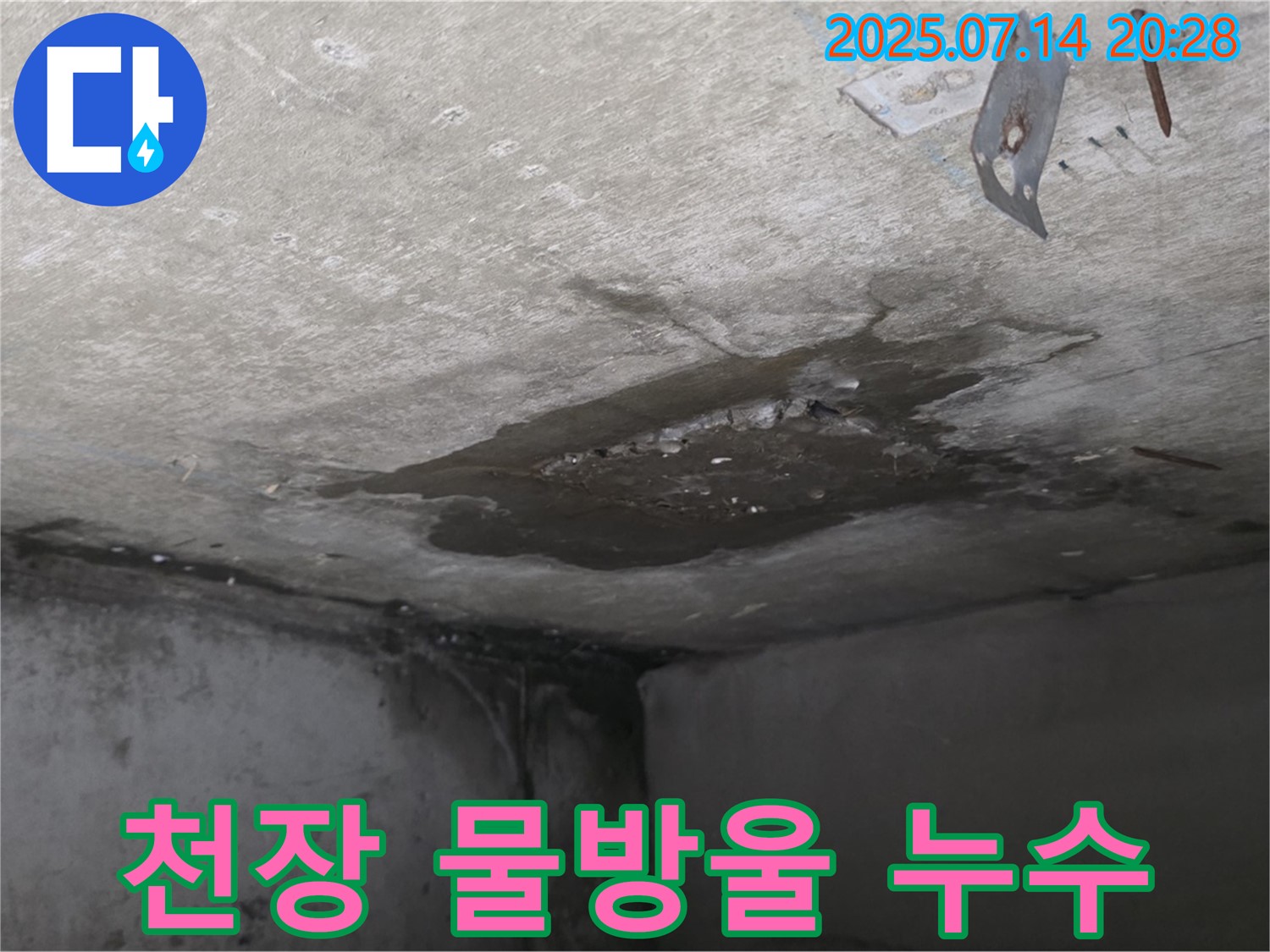 남양주 오남읍 두산아파트 누수 - 콘크리트 천장에 물방울이 맺혀 누수가 진행 중인 모습