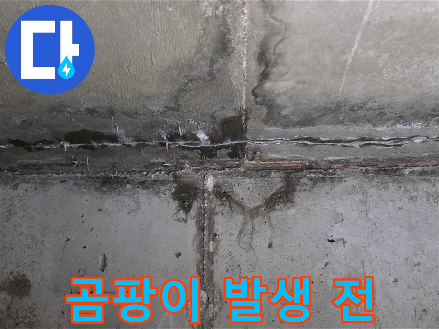 남양주 오남읍 두산아파트 벽 누수 - 곰팡이 발생 전 해결