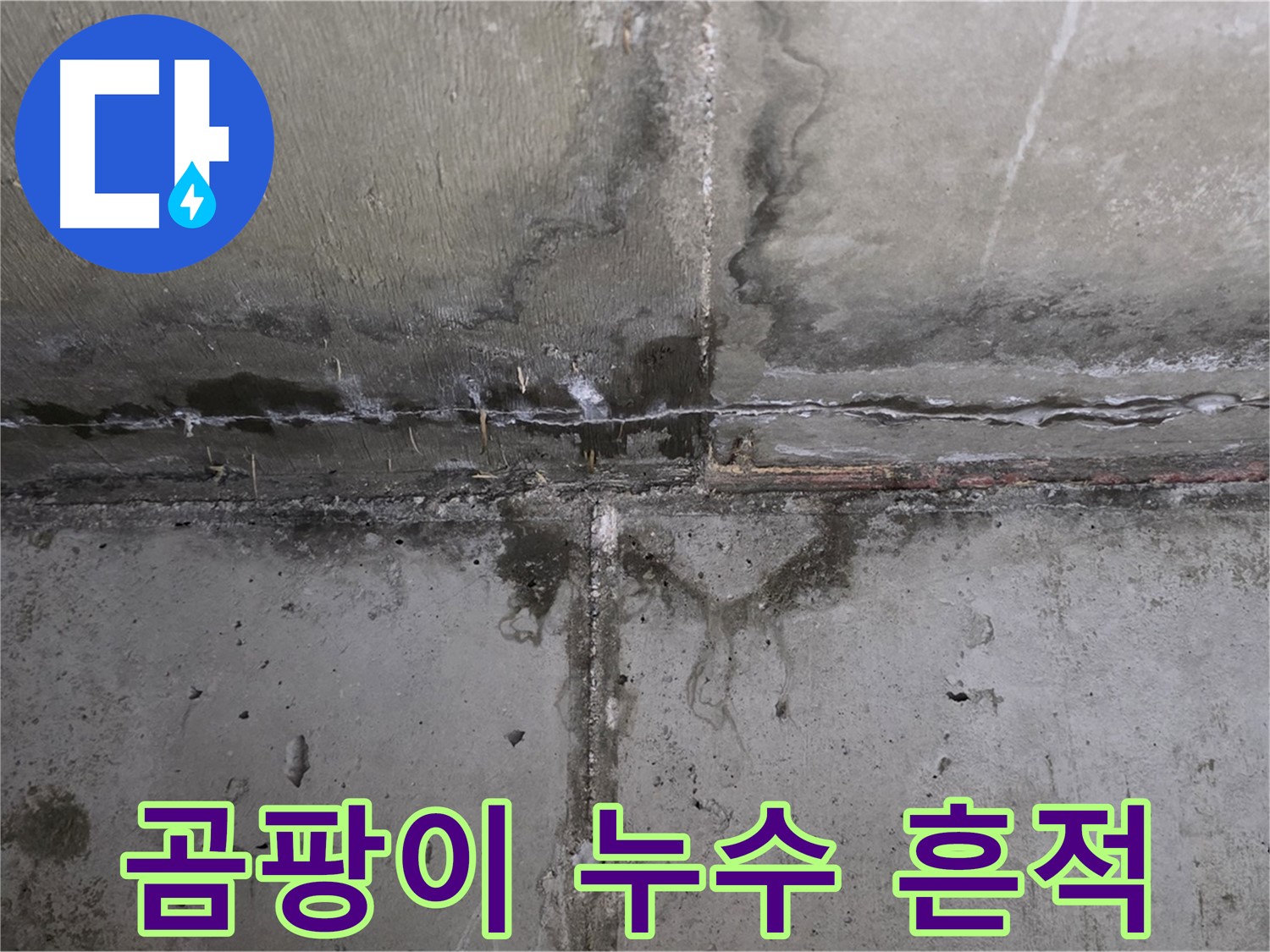 남양주 오남읍 아파트 누수 - 심각한 얼룩과 곰팡이 상태