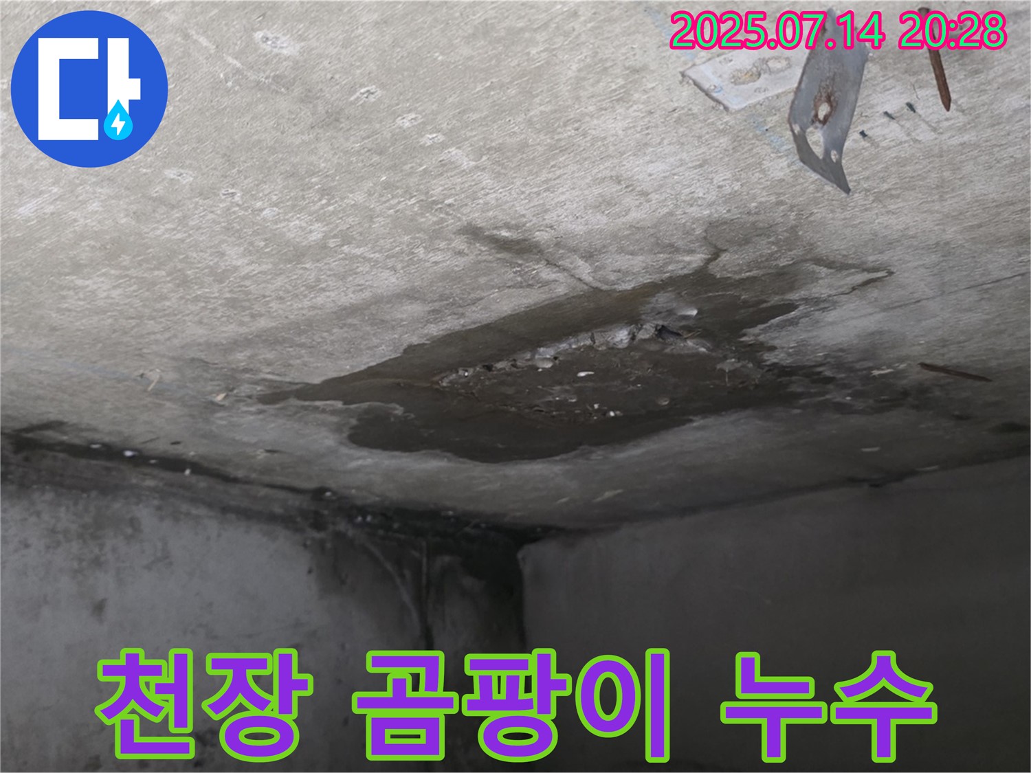 남양주시 오남읍 두산아파트 누수 - 콘크리트 천장 누수 지점 주변에 발생한 곰팡이