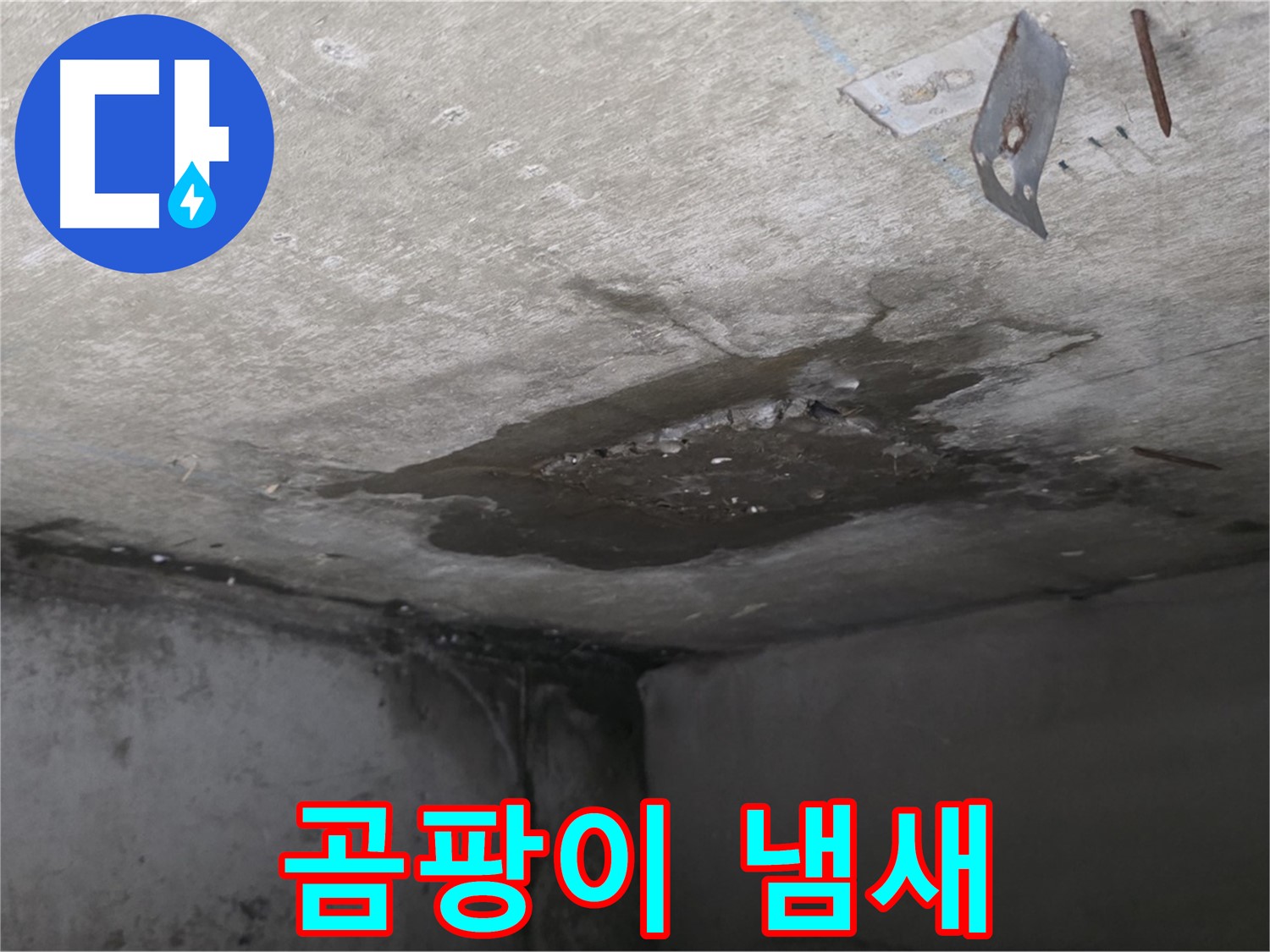 아래층 화장실의 심한 곰팡이 냄새 - 남양주 오남 아파트 누수 문제