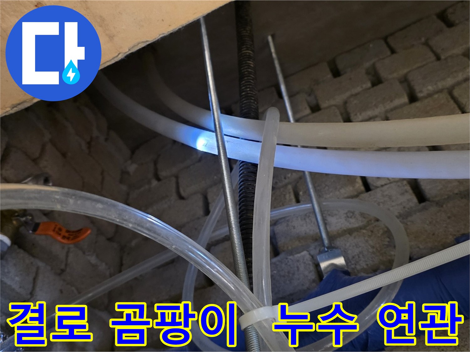 다산동 누수 - 결로 현상과 곰팡이 발생, 누수와 연관성 확인