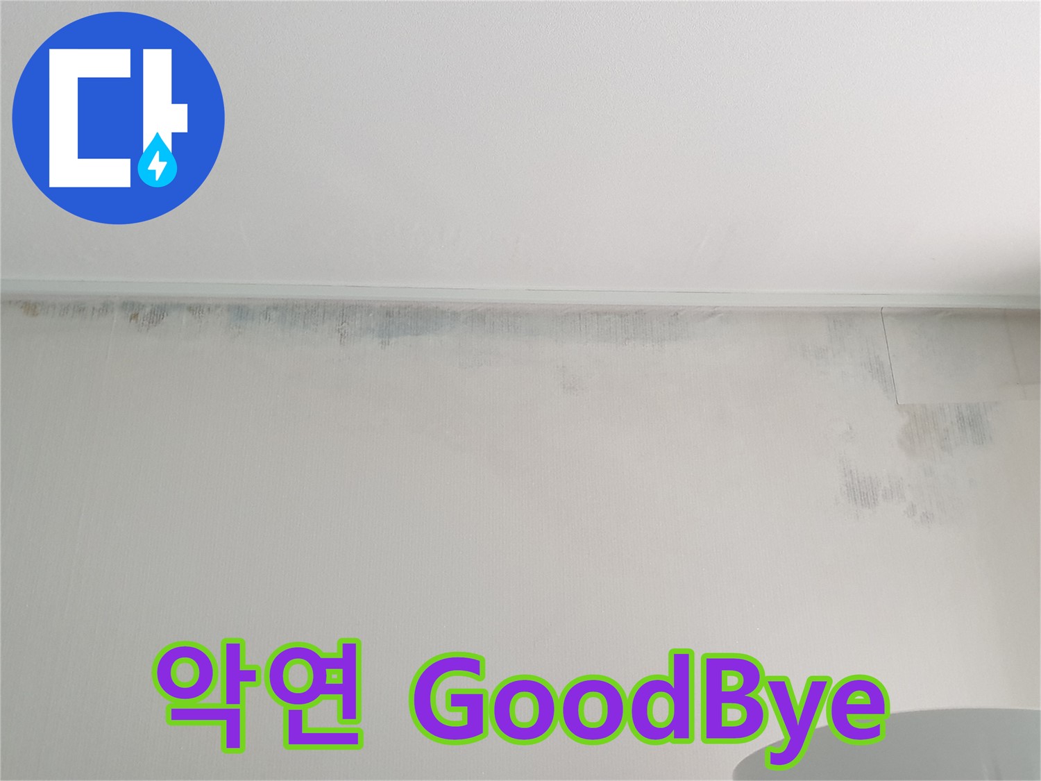 노원구 중계동 곰팡이 - 악연 GoodBye 쾌적한 새 출발