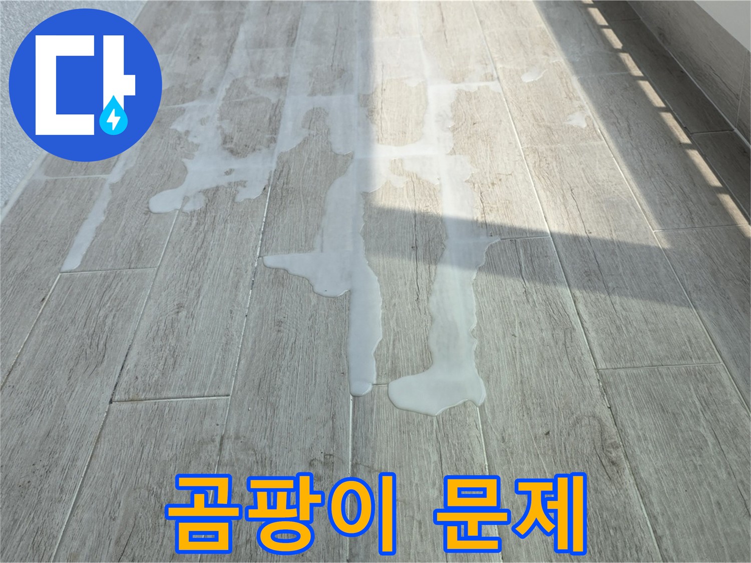 노원구 중계동 청구3차 아파트 베란다 누수 - 물고임과 곰팡이 문제, 서둘러 연락 주세요