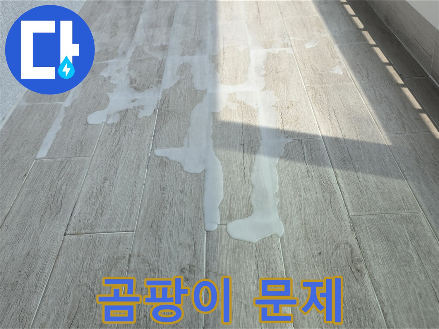 노원구 중계동 청구3차 아파트 베란다 누수 - 물고임과 곰팡이 문제, 서둘러 연락 주세요