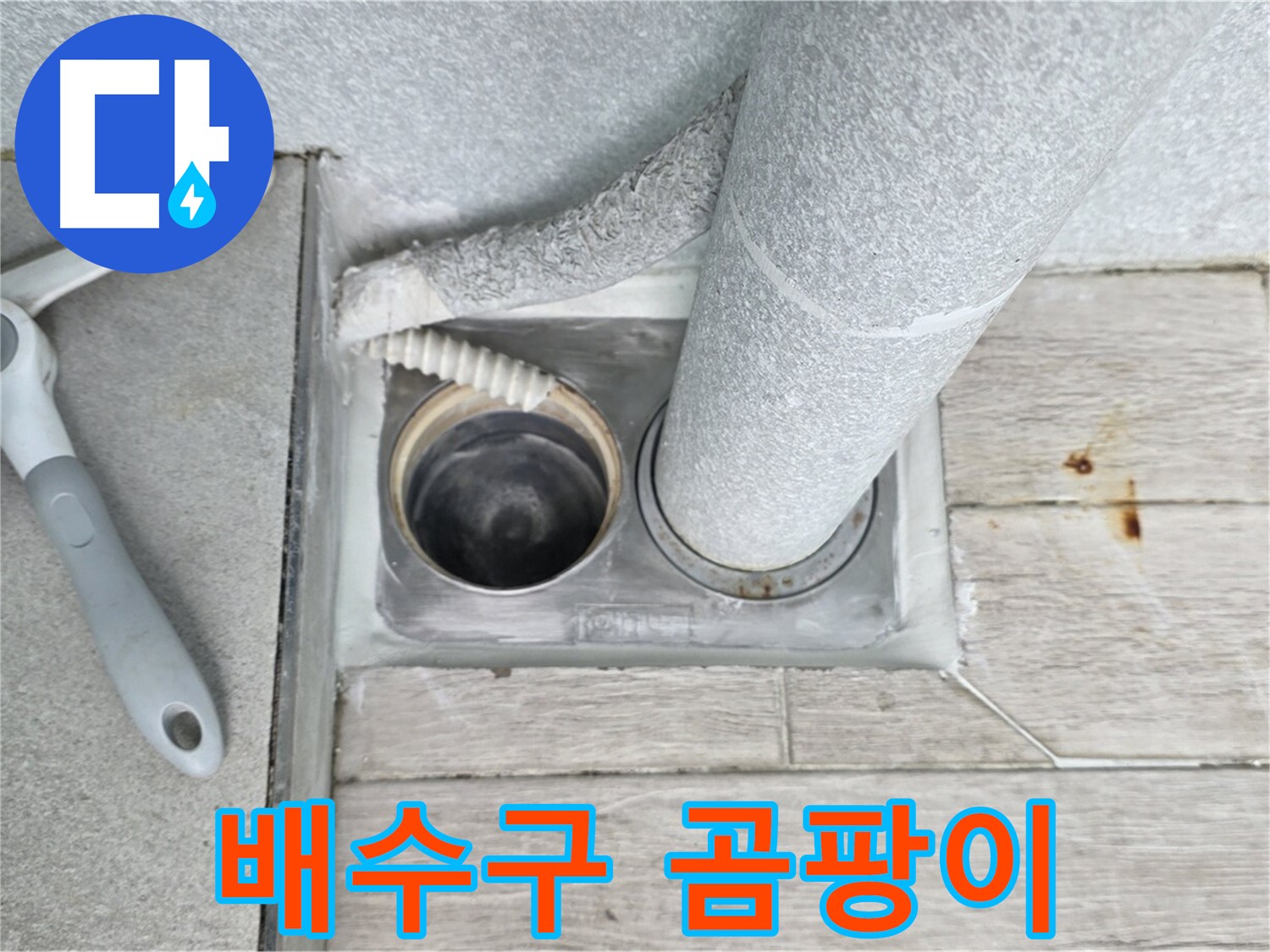 노원구 중계동 청구3차 아파트 욕실 배수구 누수 - 배수구 주변 곰팡이 상태를 꼼꼼하게 확인