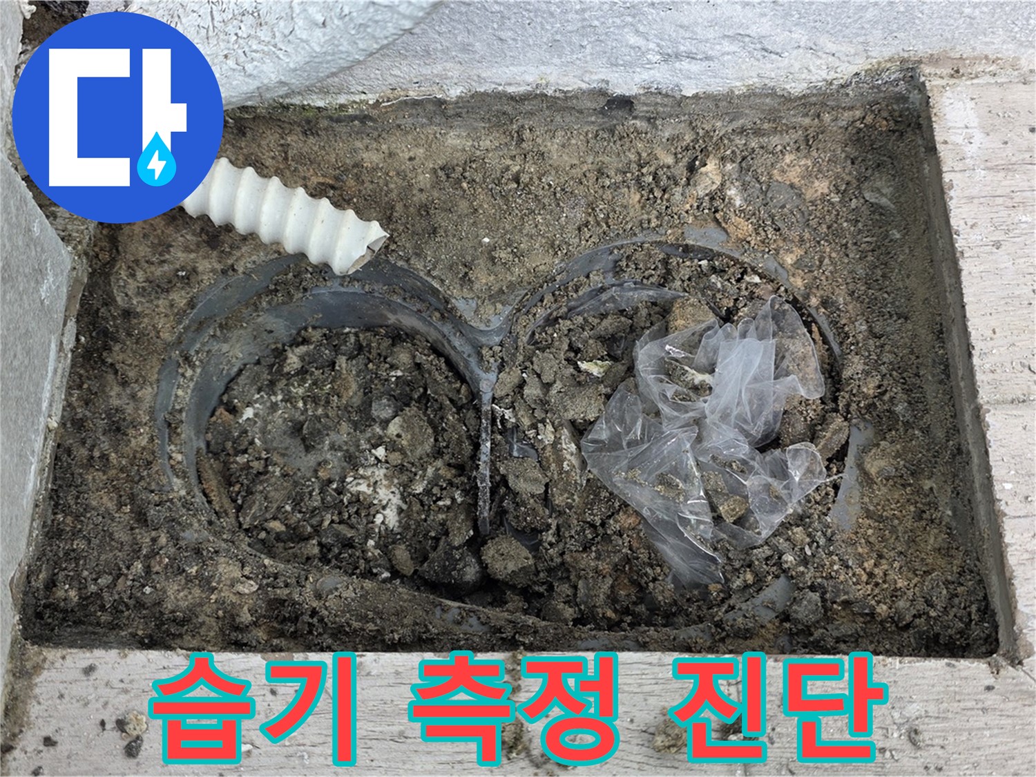 노원구 중계동 청구3차 아파트에서 외벽 균열 주변 습기를 측정하고 누수를 진단하고 있습니다 - 습기는 누수의 증거입니다.