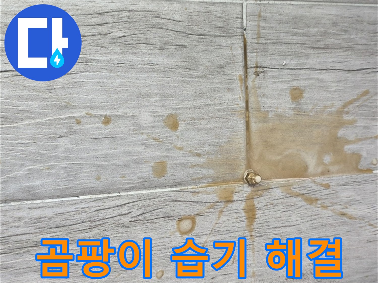 마루 곰팡이 - 습기 제거와 인젝션 방수로 쾌적하게