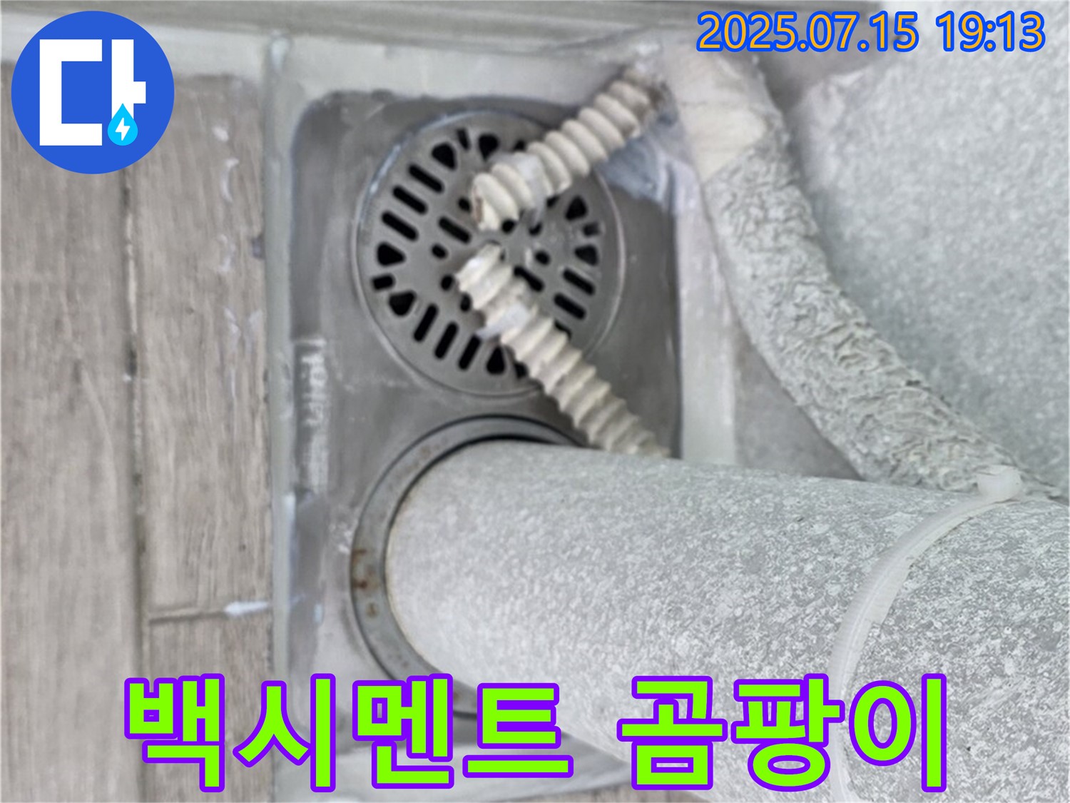 중계3동 청구3차 아파트 욕실 배수구 - 백시멘트 오염 및 곰팡이 발생 상태를 확인하고 누수 가능성을 점검하고 있습니다.