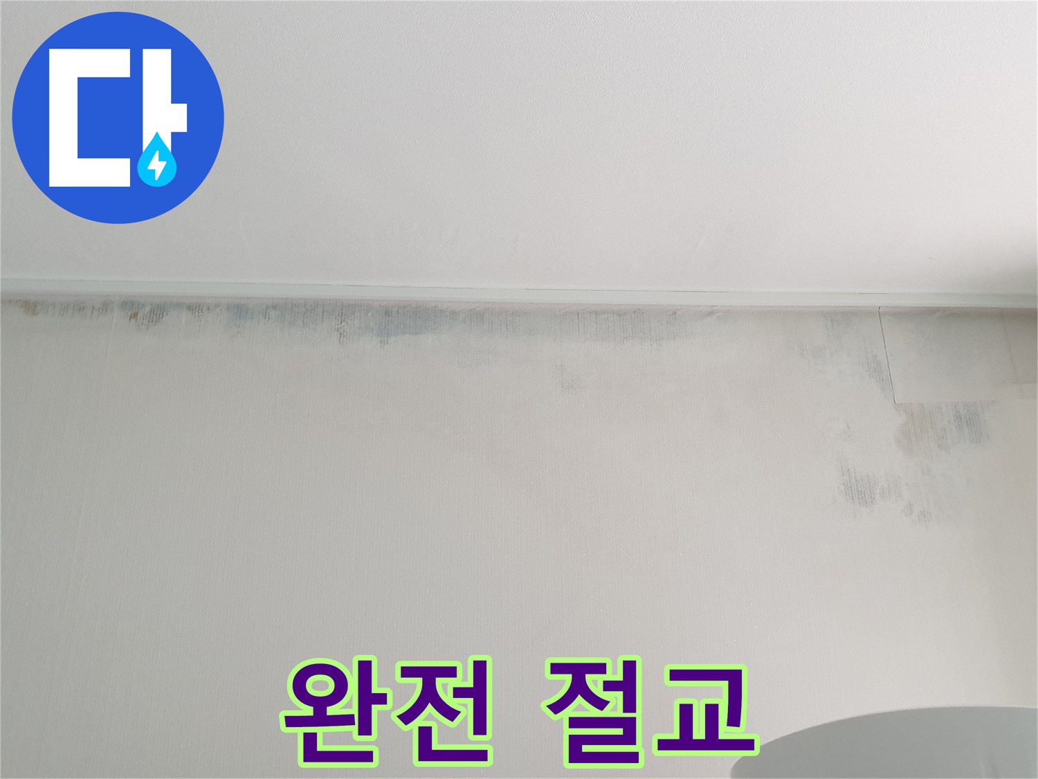 중계동 청구3차 곰팡이 - 곰팡이와 완전 절교