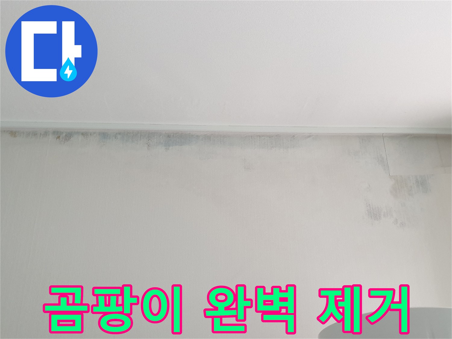 중계동 청구3차 아파트 누수 - 벽 곰팡이 완벽 제거 및 방지