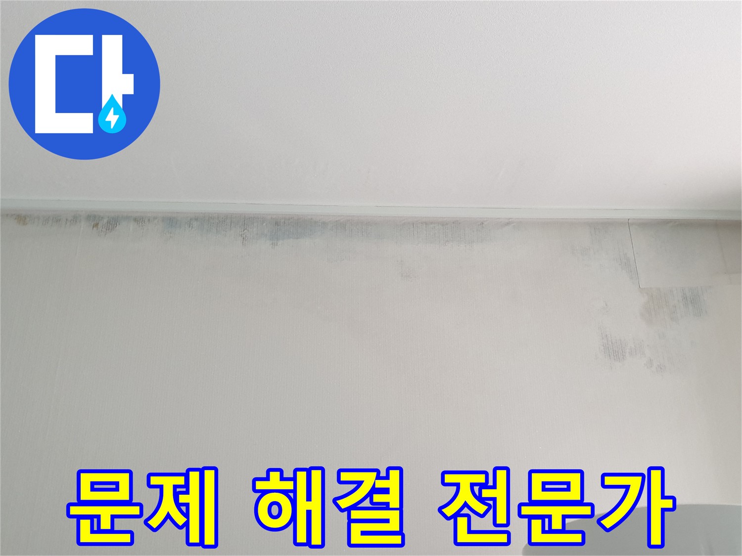 중계동 청구3차 아파트 벽 곰팡이 - 누수 문제 해결 전문가