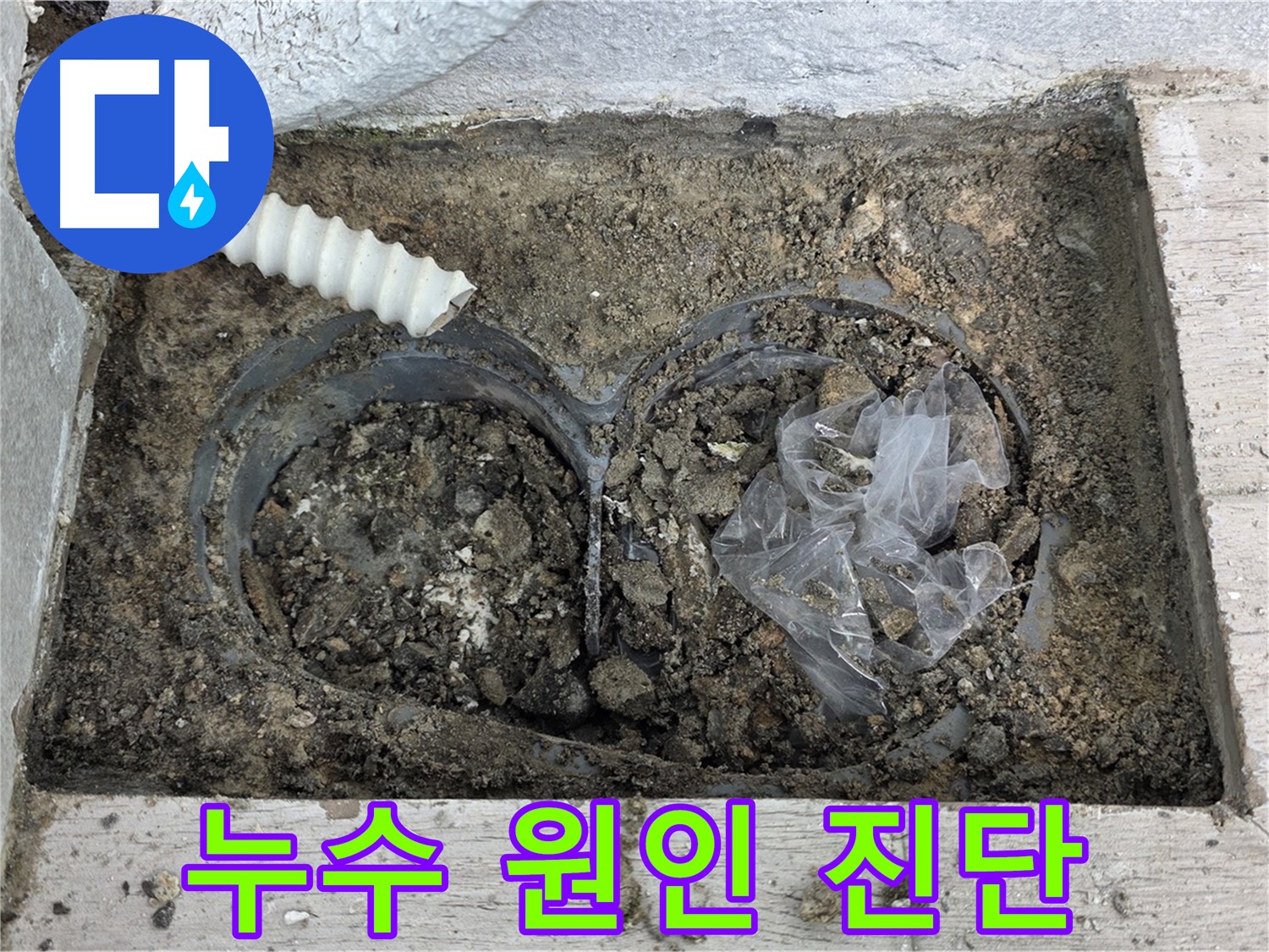 중계동 청구3차 아파트에서 배수구 주변 누수 원인을 진단하고 있습니다 - 정확한 진단으로 재발 방지!