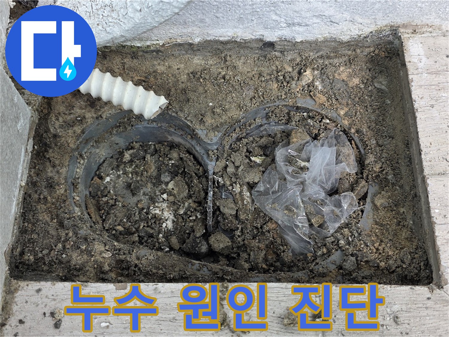 중계동 청구3차 아파트에서 외부 누수 원인을 진단하고 있습니다 - 정확한 진단으로 재발 방지!