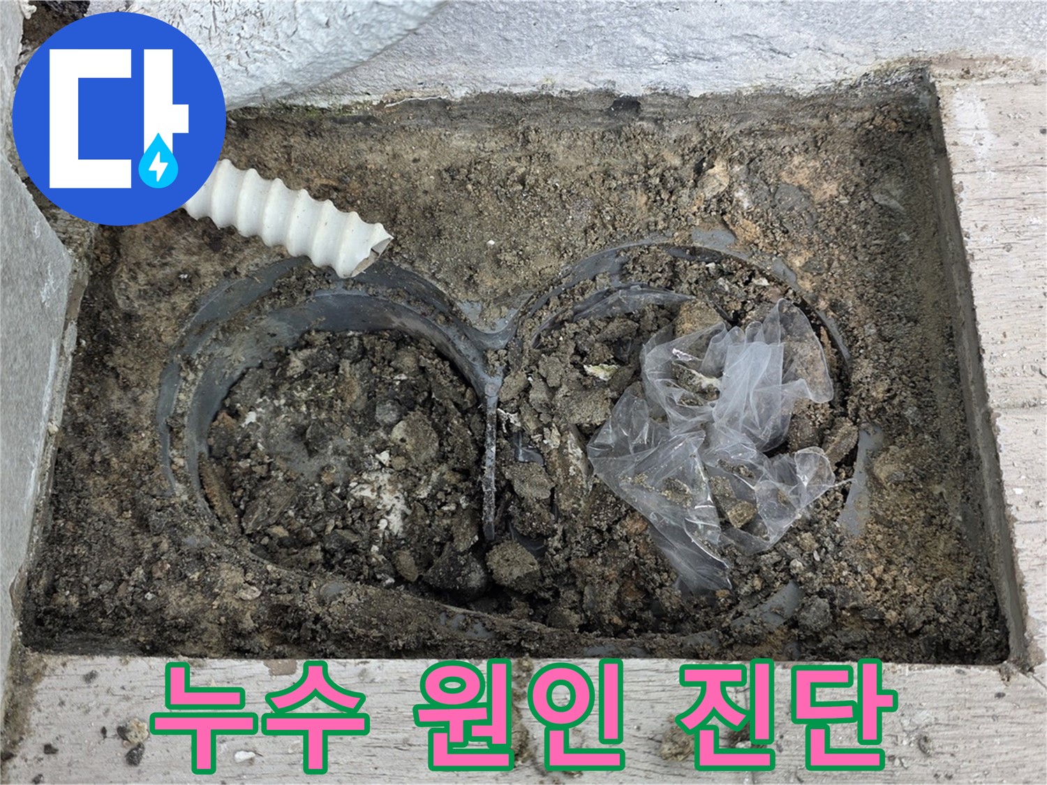 중계동 청구3차 아파트에서 우수관 주변 누수 원인을 진단하고 있습니다 - 정확한 진단으로 재발 방지!