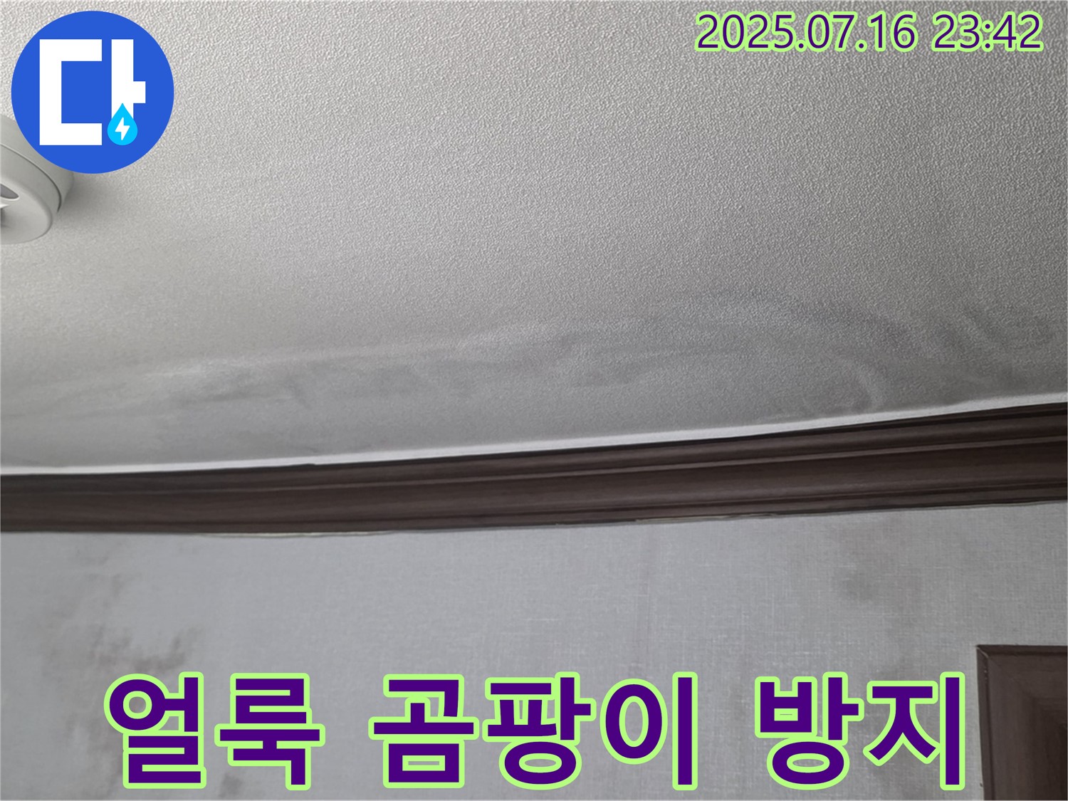 미아동 누수 현장 - 천장 얼룩과 벽면 곰팡이 확산을 방지하기 위한 작업 모습입니다.