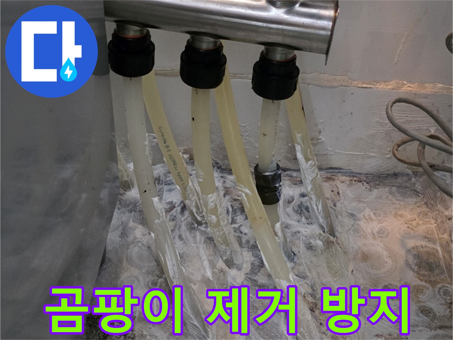 분배기 주변 벽면 곰팡이 - 꼼꼼한 제거 및 곰팡이 방지 시공으로 깨끗하게!