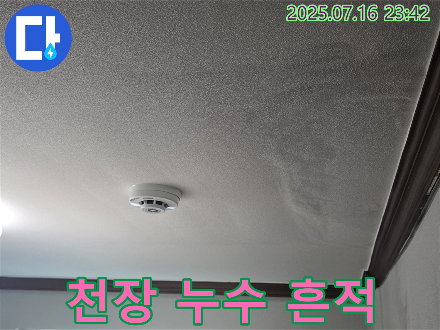 천장 누수 흔적 발견 - 미아동 다세대 주택에서 천장 누수 흔적을 발견한 사진입니다.