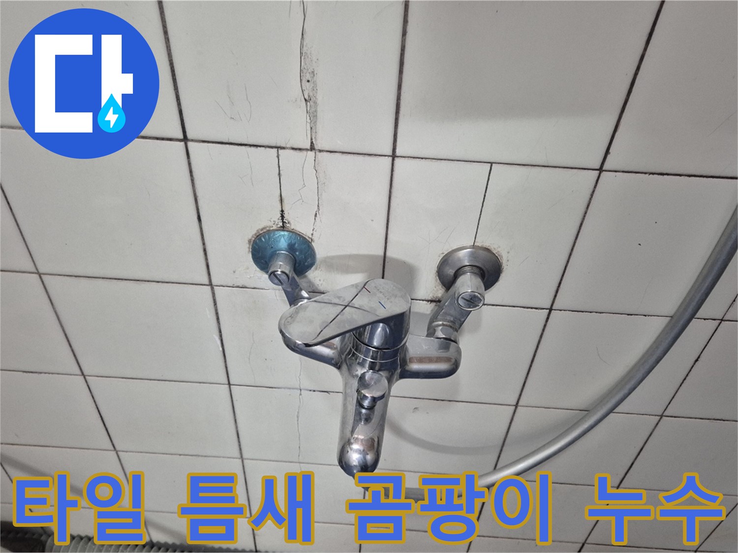 샤워기 수전 주변 타일 틈새 곰팡이 - 틈새 곰팡이로 인한 누수 의심