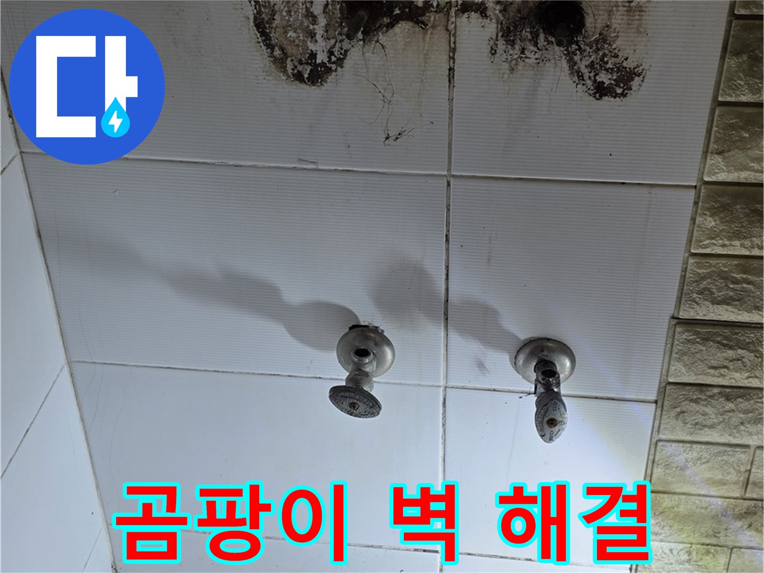 노원구 상계동 곰팡이 핀 욕실 벽 - 정확한 누수 진단과 완벽한 해결로 쾌적한 욕실 환경을 만들어 드립니다.