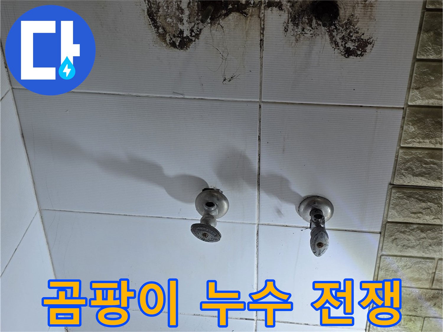 노원구 상계동 욕실 곰팡이와 전쟁 - 전문적인 기술로 누수 원인을 찾아 확실하게 해결합니다.