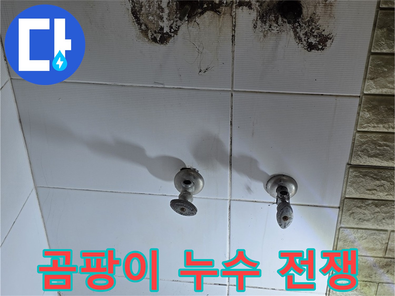 노원구 상계동 욕실 곰팡이와 전쟁 - 전문적인 기술로 누수 원인을 찾아 확실하게 해결합니다.