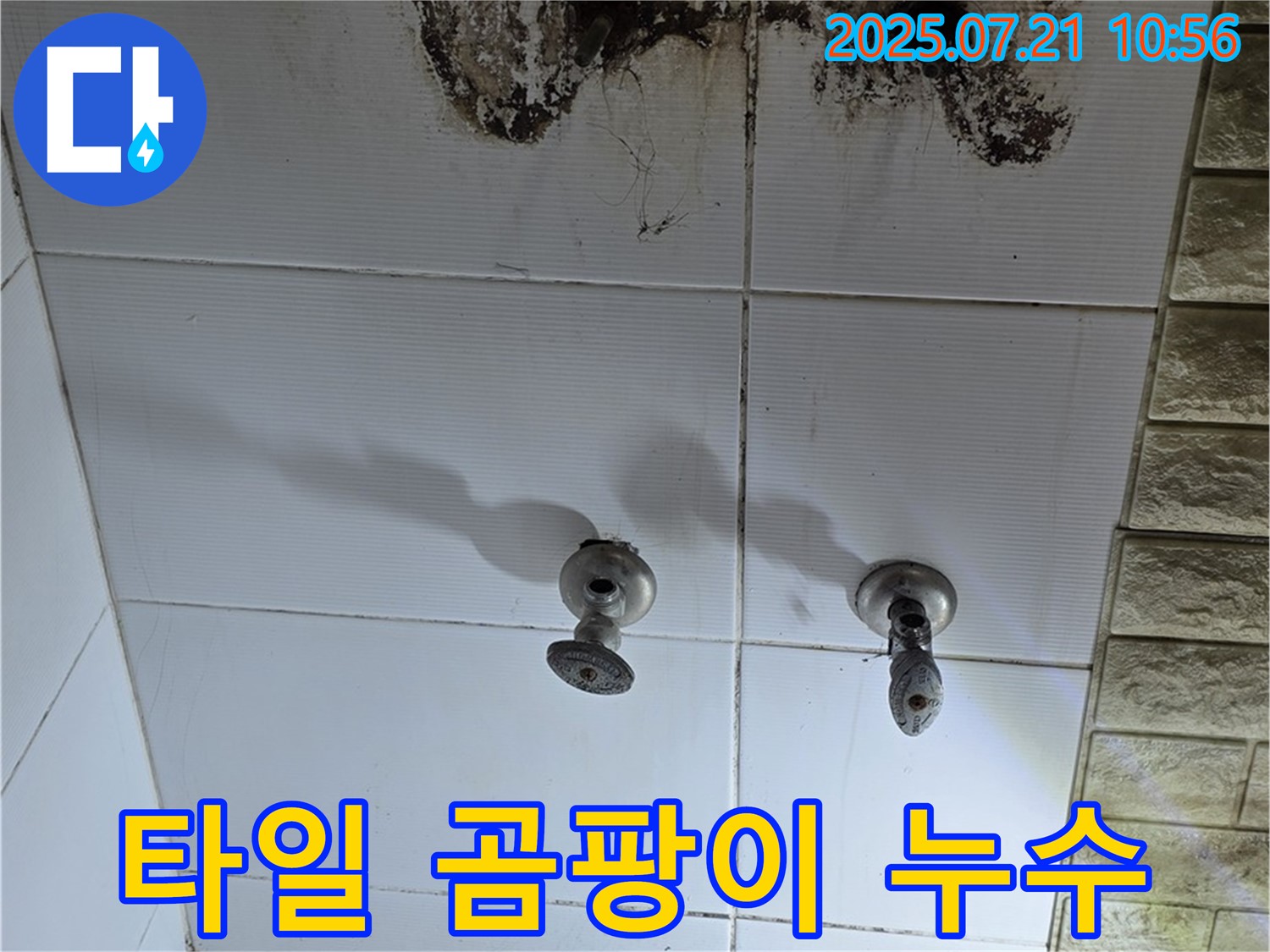 상계2동 욕실 누수 - 타일 곰팡이는 숨겨진 누수의 신호일 수 있습니다 - 정밀 탐지가 필요합니다.