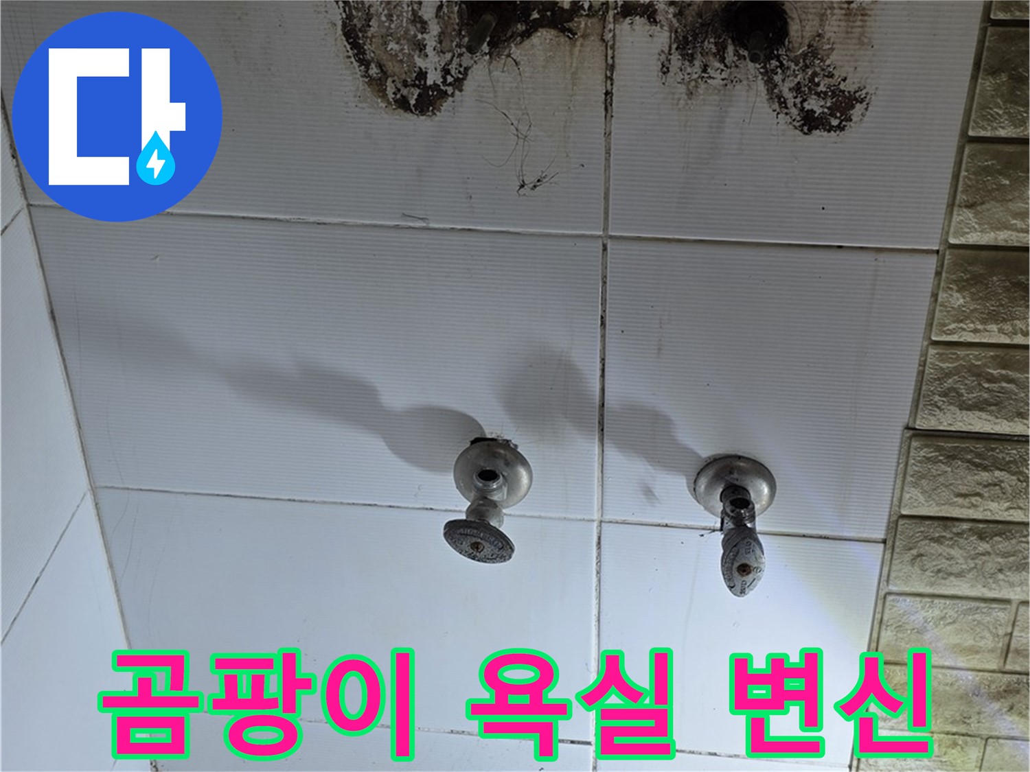 상계동 곰팡이 가득한 욕실 - 누수 문제를 해결하고 깨끗하게 변신시켜 드립니다.