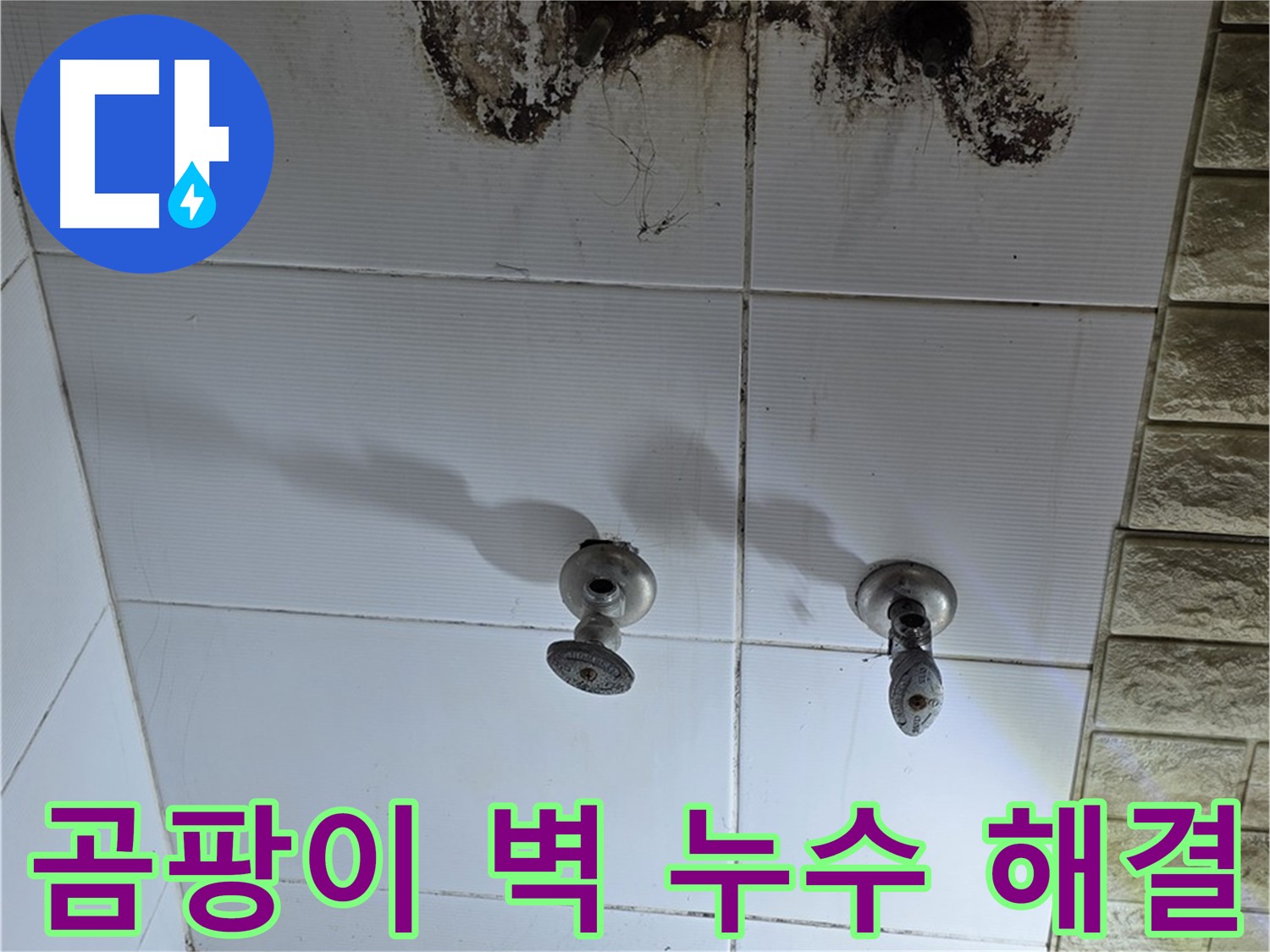 상계동 곰팡이 핀 욕실 벽 - 누수 원인을 정확히 파악하고 곰팡이까지 깨끗하게 제거해 드립니다.