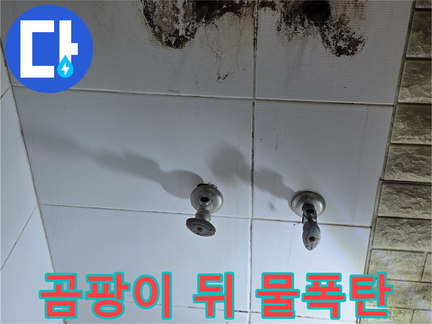 상계동 빌라 곰팡이 뒤 숨은 물폭탄 - 누수탐지 전문가가 긴급 방문하여 해결합니다.