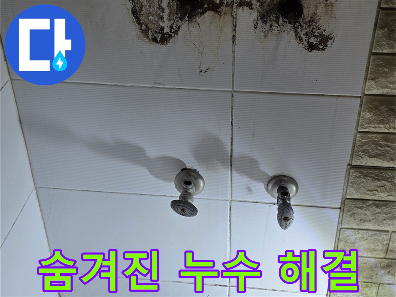 상계동 빌라 곰팡이 핀 욕실 - 숨겨진 누수를 찾아 완벽하게 해결하는 전문 업체를 소개합니다.