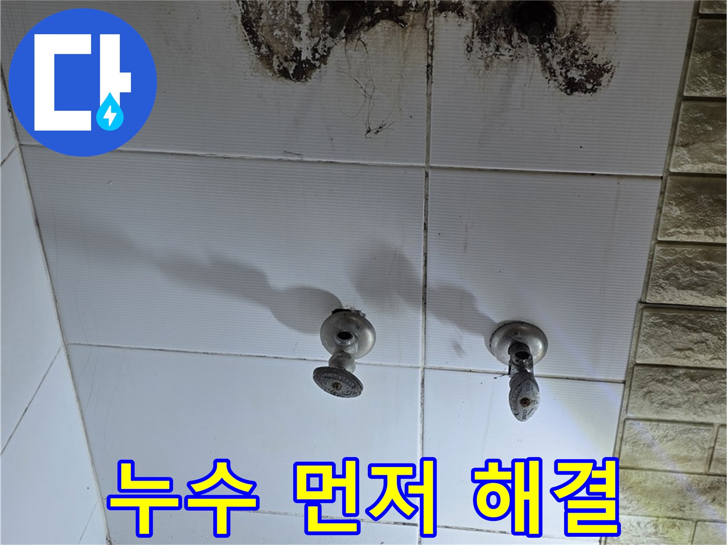 상계동 욕실 곰팡이 - 곰팡이 제거 전에 누수부터 잡아야 재발을 막을 수 있습니다.