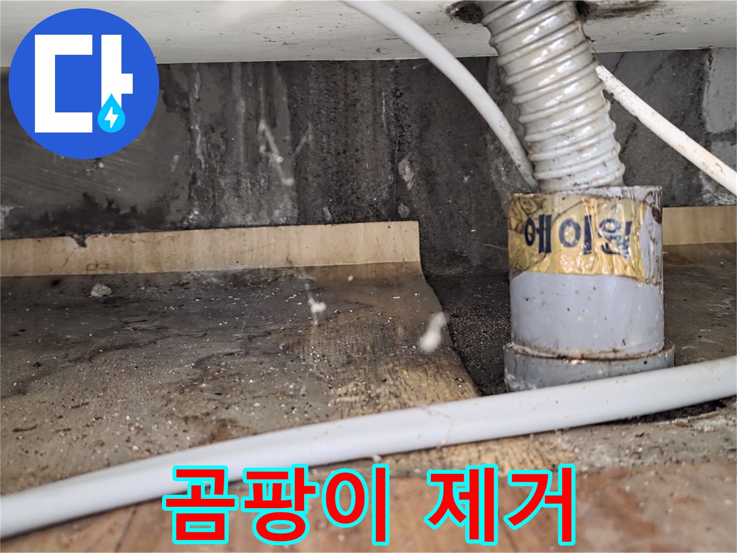 남양주 진건읍 사릉리 누수 공사 후 곰팡이 제거 작업 - 꼼꼼한 시공으로 재발을 방지하는 누수탐지 전문 업체입니다.
