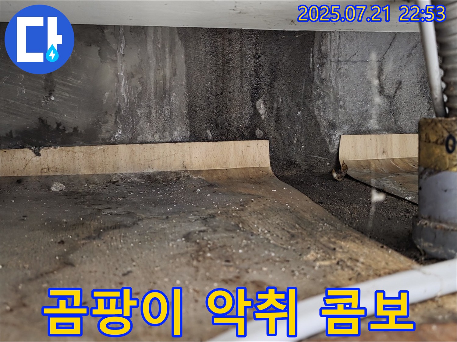 진건읍 사릉리 싱크대 하부 - 젖어있는 싱크대 하부, 곰팡이와 악취 콤보! 서둘러 해결하세요!