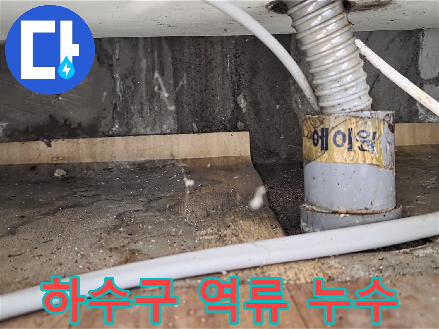 하수구 역류로 인한 누수 - 남양주 진건읍 사릉리 누수탐지 전문 업체에서 확실하게 해결해 드립니다.