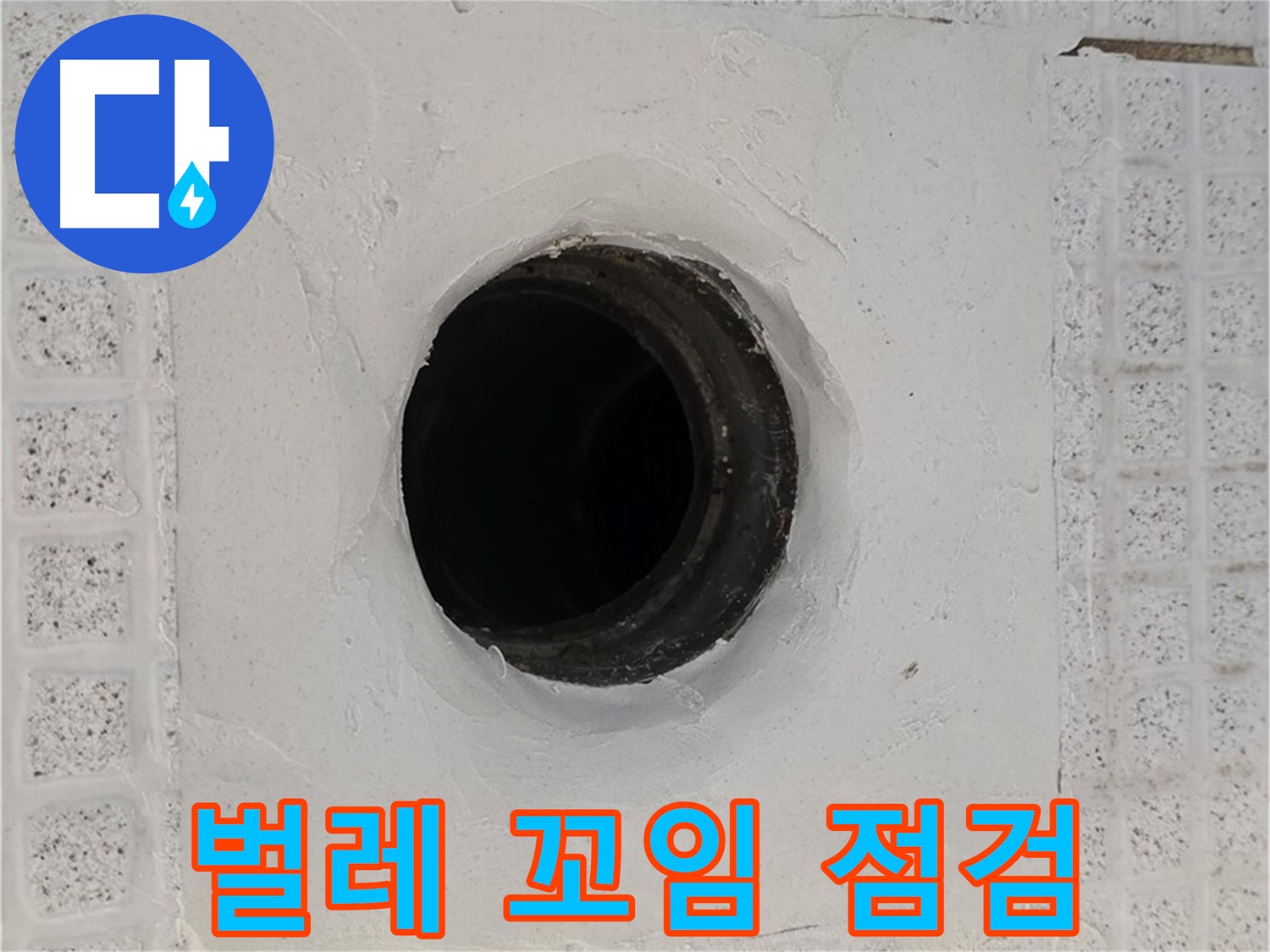 과천 문원동 욕실 누수 - 배수구 주변 벌레 꼬임, 누수 관련성 점검