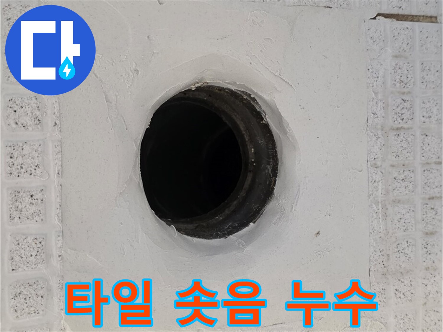 과천 문원동 욕실 누수 - 배수구 주변 타일 솟음, 누수 신호 점검