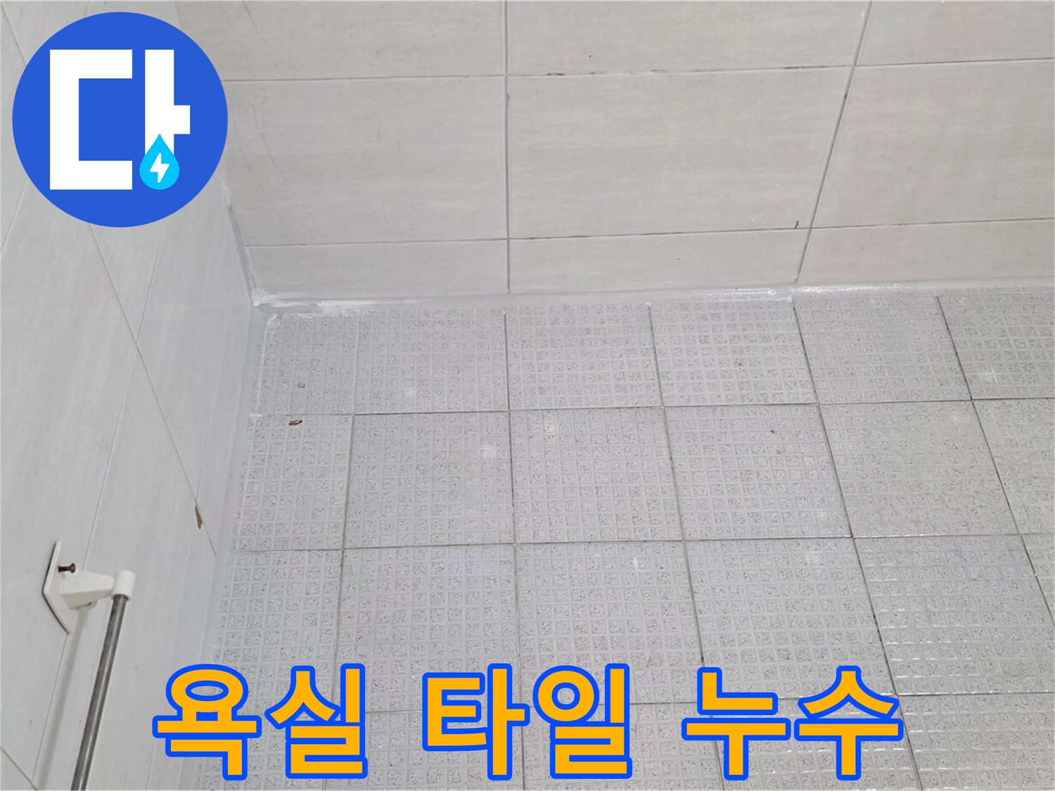과천 문원동 욕실 타일 누수 - 누수탐지 전문가의 꼼꼼한 점검과 해결