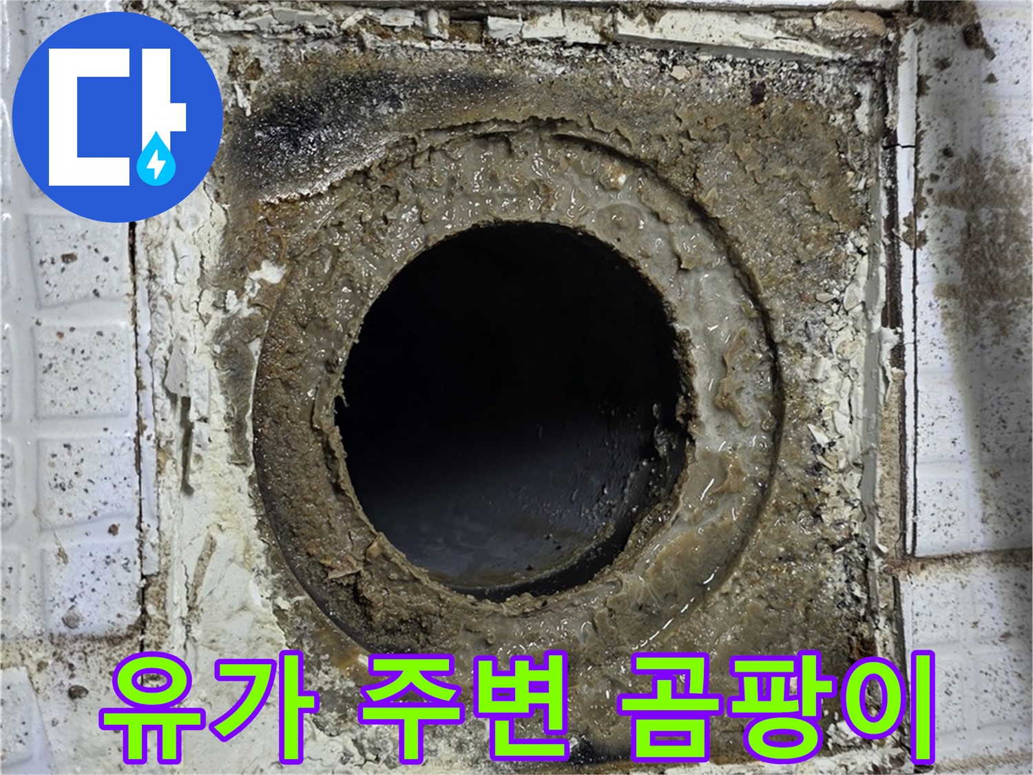 과천시 문원동 문원청계1길 욕실 유가 주변 곰팡이 발생 - 누수 가능성 높음