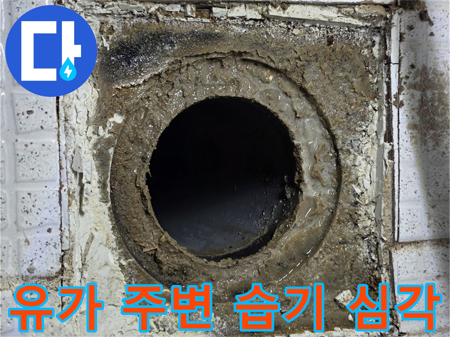 과천시 문원동 욕실 유가 주변 습기 심각 - 지속적인 누수 의심, 꼼꼼 점검 필수