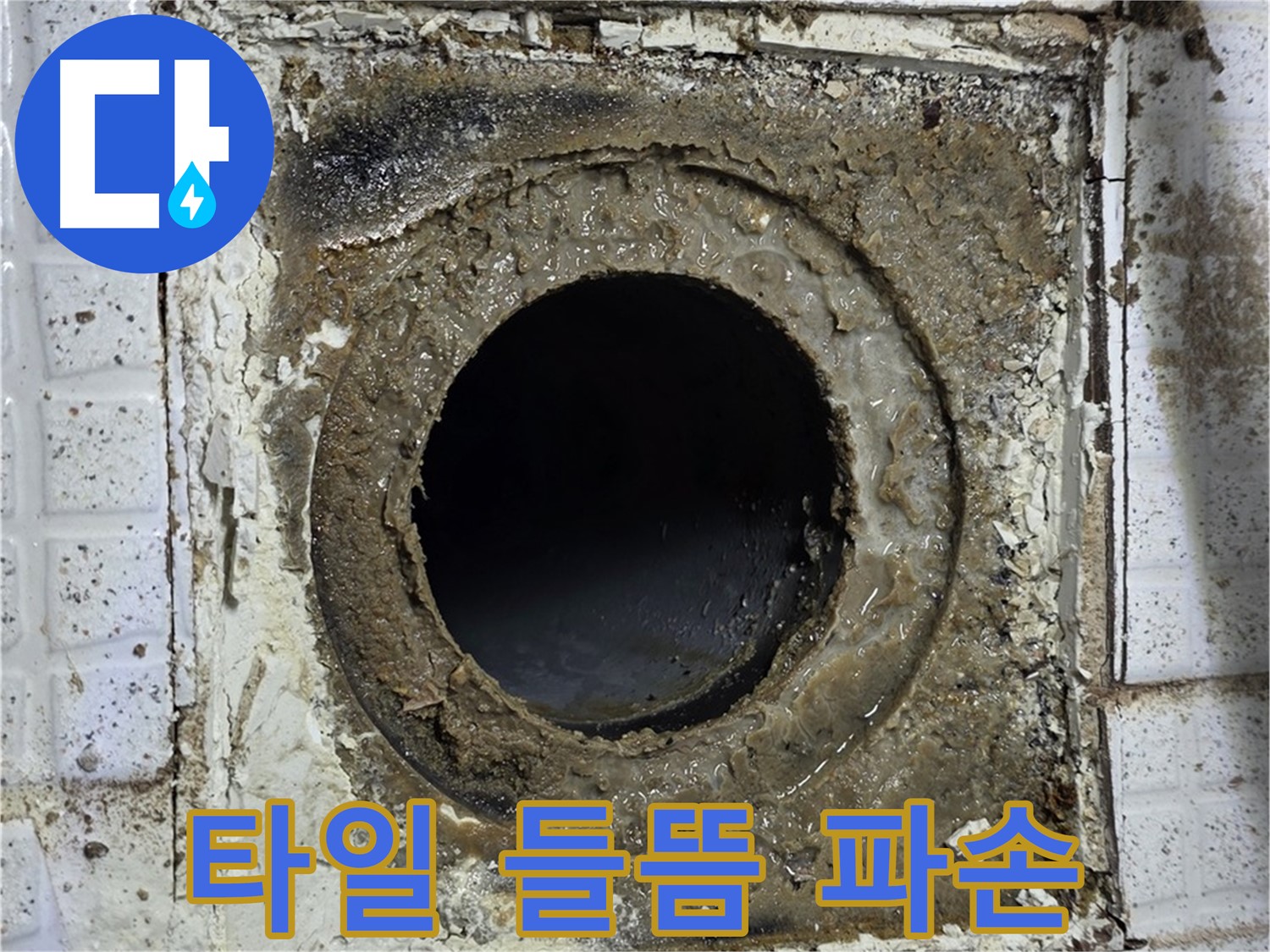 세인트빌 욕실 누수, 유가 주변 타일 들뜸 - 방수층 파손 의심