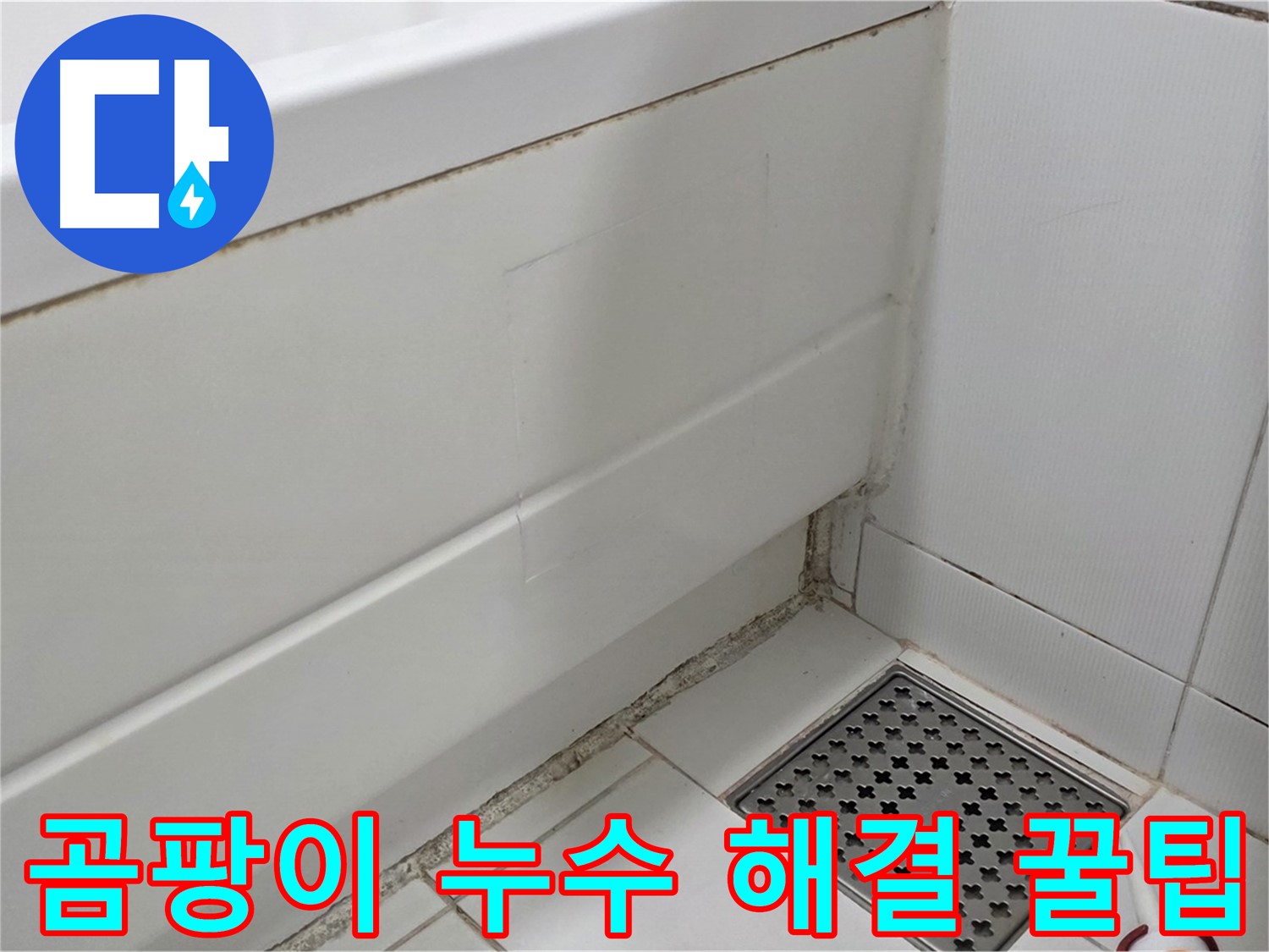 일산서구 가좌동 곰팡이 핀 욕조 실리콘 누수 완벽 해결 꿀팁