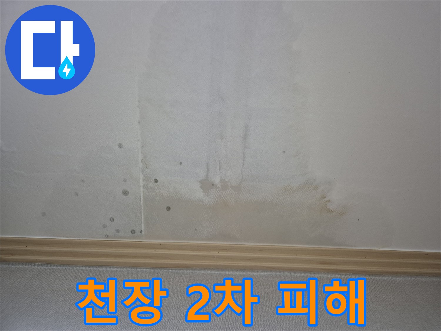 천장 누수로 인한 2차 피해 - 전기 합선, 곰팡이 발생 등 위험 요소 강조