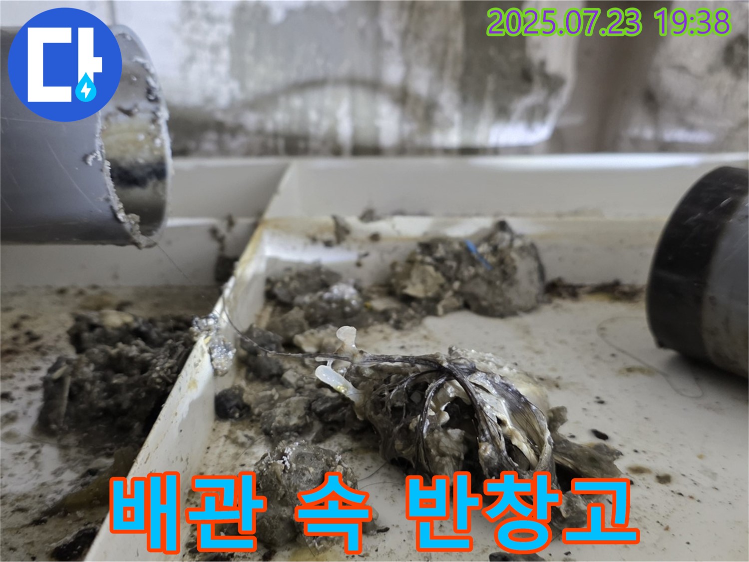 노원구 중계동 라이프청구신동아 아파트 누수 - 배관 속 반창고 발견 - 반창고는 꼭 휴지통에!