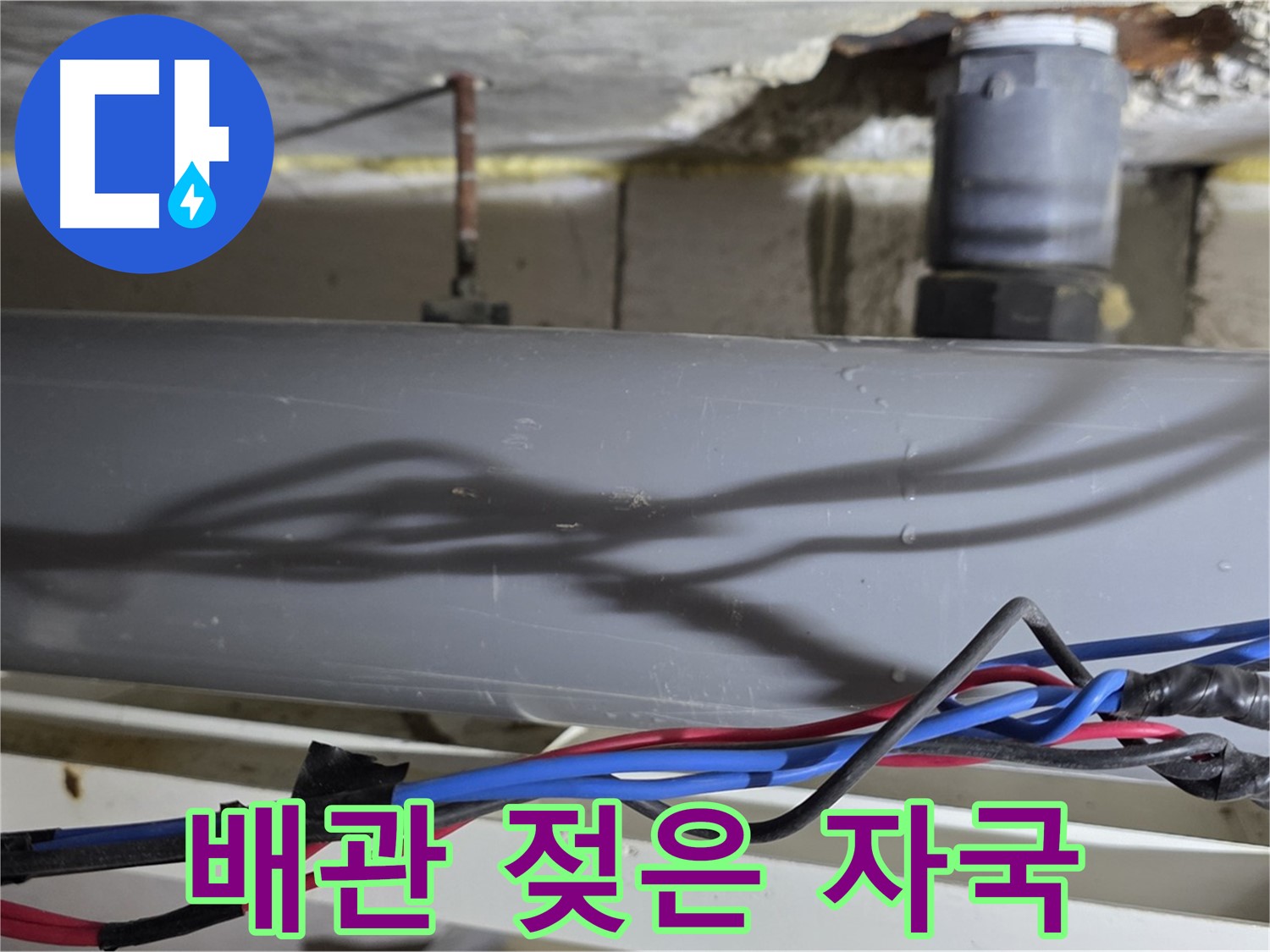 노원구 중계동 라이프청구신동아 아파트 배관 젖은 자국 발견 - 누수 초기 증상일 수 있습니다.